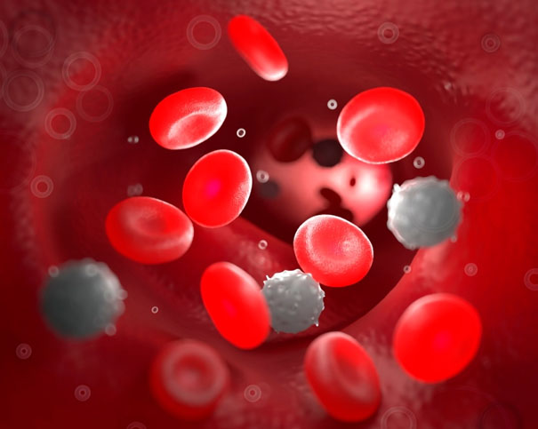 1755158467780100.jpg 未标题-1.jpg