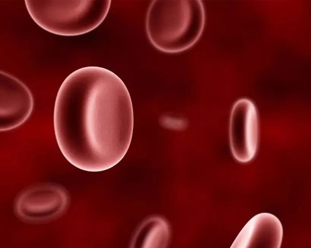 头晕乏力脸色差?认识身体里的运氧大师——血红蛋白的秘密