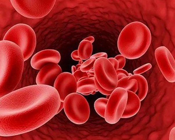 免疫系统“认敌为友”?血小板减少可能由此而起!