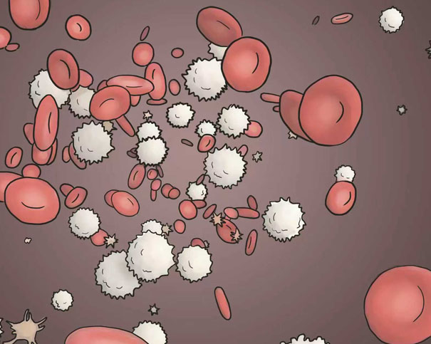 1757118844973853.jpg 未标题-1.jpg