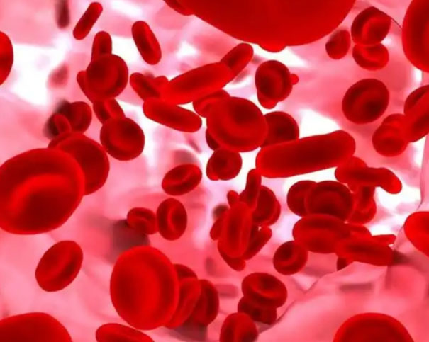 谁是血小板的“制造者”?解读巨核细胞的功能与疾病关联