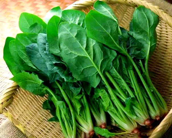 1757119124272344.jpg 未标题-1.jpg