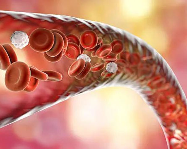 骨髓穿刺报告解读:掌握3大“诊断密码”,轻松看懂血液健康真相