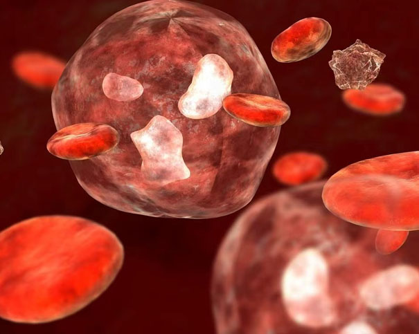 血液为何总是红色?揭秘血红蛋白与光的奇妙相互作用