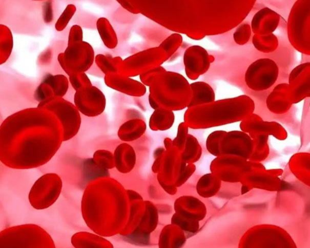 人体内简单又复杂的细胞:关于红细胞的重新定义