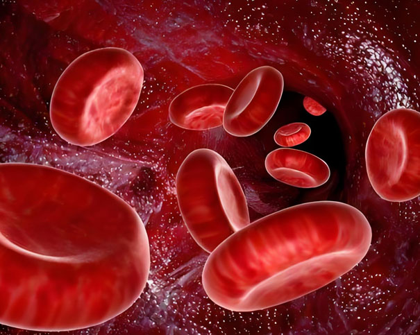 认识MPN:它并非单病种,而是一个需要甄别的血液病家族