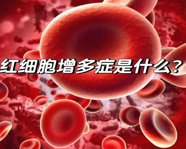 真性红细胞增多症:不只是红细胞增多,注意这些病情进展!