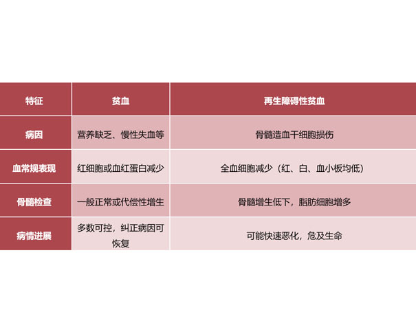 贫血与再障:一字之差的巨大不同!说清关联、讲透应对