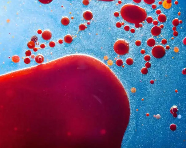 为何血液肿瘤常见于老年人？探秘背后骨髓的衰老之谜