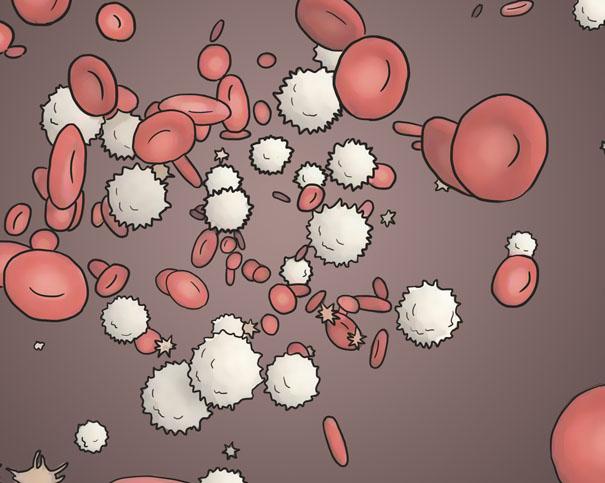 规范管理慢粒白血病：药物、监测与生活的“三大支柱”