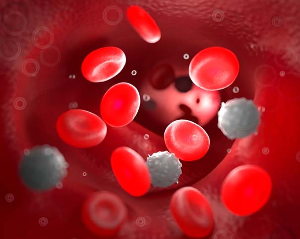 红细胞减少是贫血，但红细胞越多越好吗？当心血液“超载”